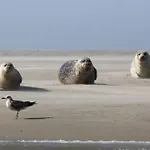 Дом отдыха L'air Du Large